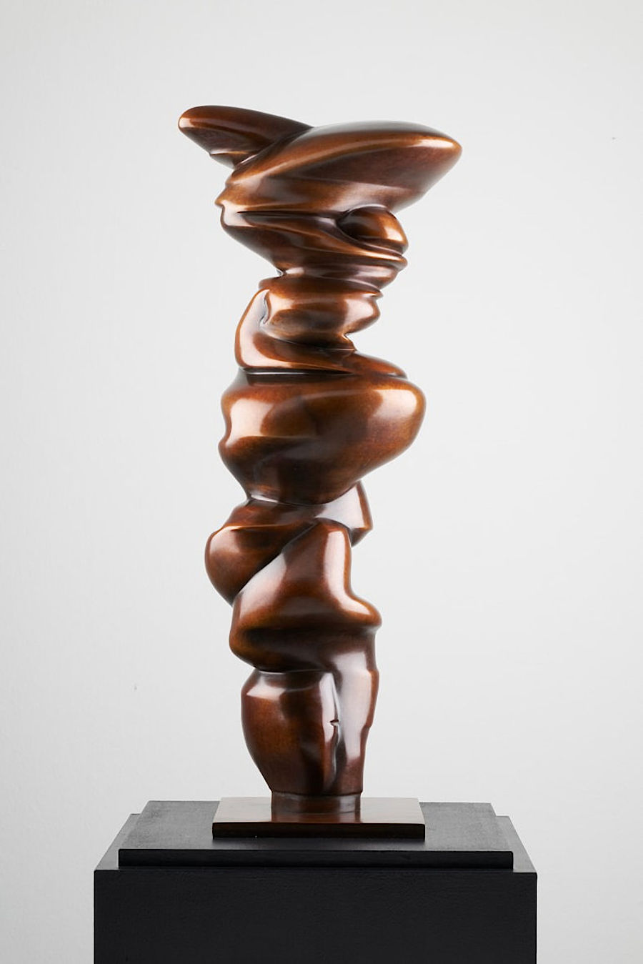 Korff Stiftung - Tony Cragg - Sculptures - Sender IV