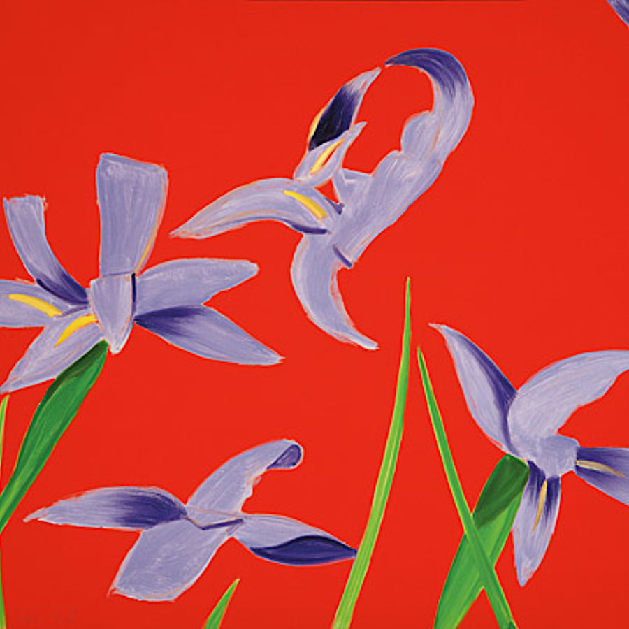 Purple Irises on Red Purple Irises on Red